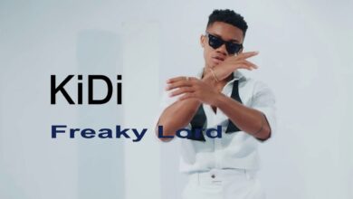 KiDi - Freaky Lord Lyrics