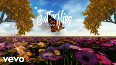 Queen Naija x Wale - Butterflies Pt. 2 (Wale Remix) Lyrics