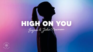 Sigma x John Newman - High On You Lyrics