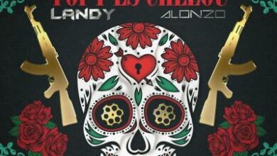 Landy Ft Alonzo – Toi t'es chelou Lyrics