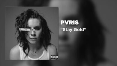 PVRIS – Stay Gold lyrics