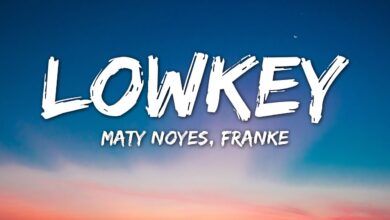 Maty Noyes & Franke – lowkey lyrics