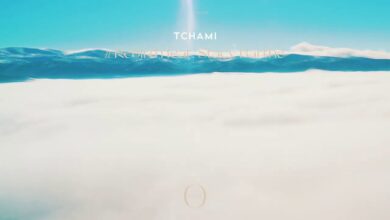 Tchami & Stacy Barthe – Rebirth lyrics