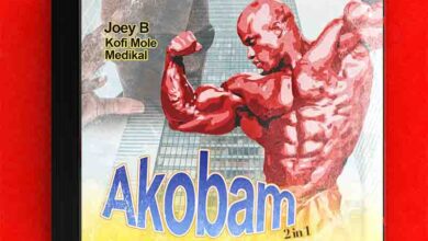 Joey B - Akobam Ft Kofi Mole & Medikal