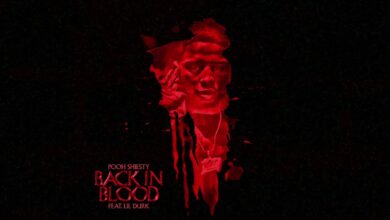 Pooh Shiesty Ft Lil Durk – Back In Blood Lyrics