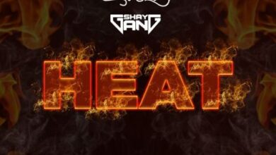 Wendy Shay – Heat