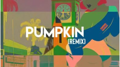 Mike Akox ft Kwaku DMC Pumpkin Remix