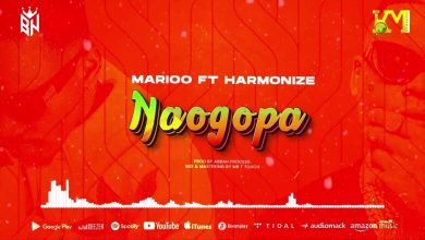 Marioo ft Harmonize – Naogopa