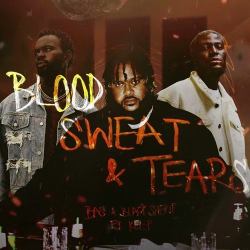 Black Sherif x Bas Ft Kel-P - Blood, Sweat & Tears Lyrics